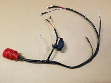 1982-1984 Evinrude Johnson 25, 30, 35 HP Outboard Engine Harness 391818 0391818