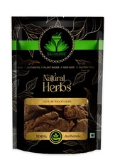 SAI HERBS Yellow Wood Herb - Good for Healthy Lifestyle