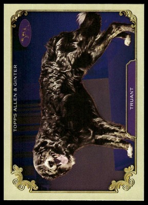 2024 Topps Allen & Ginter #SOS-4 Truant Stars Show The Westminster Kennel