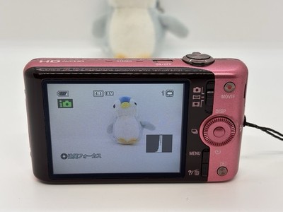 SONY Cyber-shot DSC-WX100 Pink 18.2MP Digital Camera 10x Zoom From