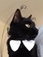 LePetitPanther