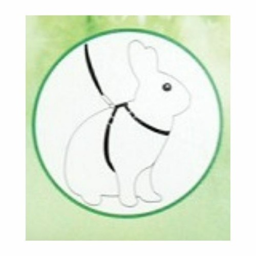 Small Animal Harness & Lead Set Adjustable Green Happy Pet Rabbit Ferret Safety - Picture 2 of 5