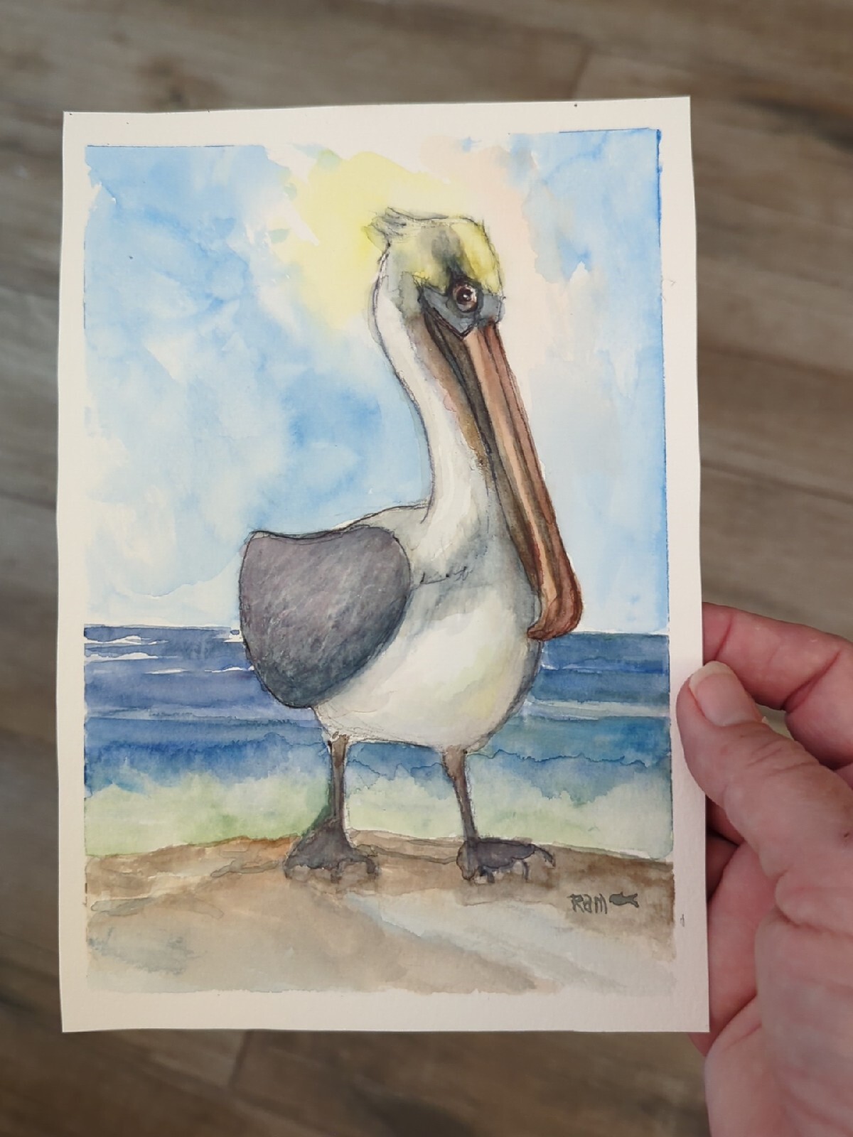 "Posing Peli" Oceanside Pelican Watercolor Bird Beach RAMfish Artist 5" X 8"