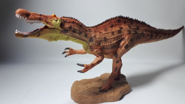 baryonyx collecta 2019