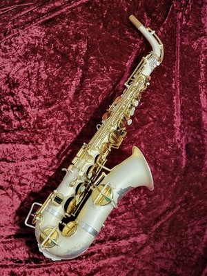 Alt Saxophon THE BUESCHER True Tone USA