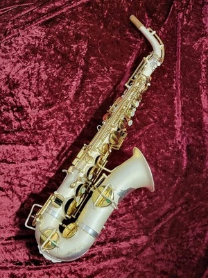 Alt Saxophon THE BUESCHER True Tone USA - Bild 1 von 4