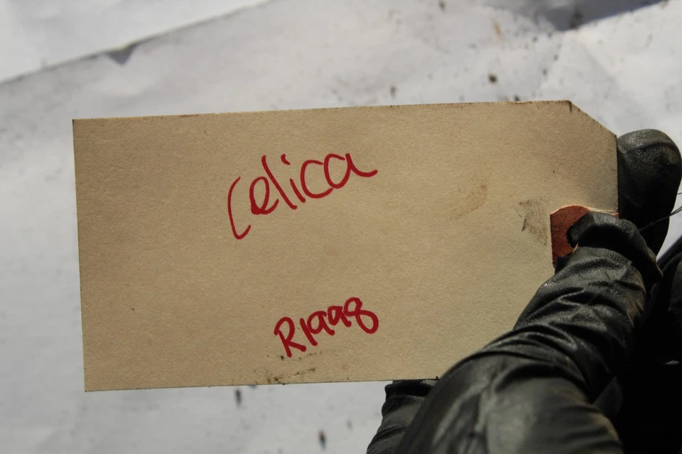 2000-2005 TOYOTA CELICA GT АВТОМАТИЧЕСКАЯ КОРОБКА ПЕРЕДАЧ МАСЛЯНЫЙ ПОДДОН R1998 - Изображение 2 из 4