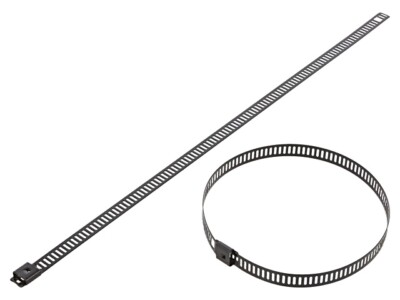 10X LC76-250 Kabelbinder L: 250mm W: 7mm säurebständiger Stahl AISI 316 RAYCHEM