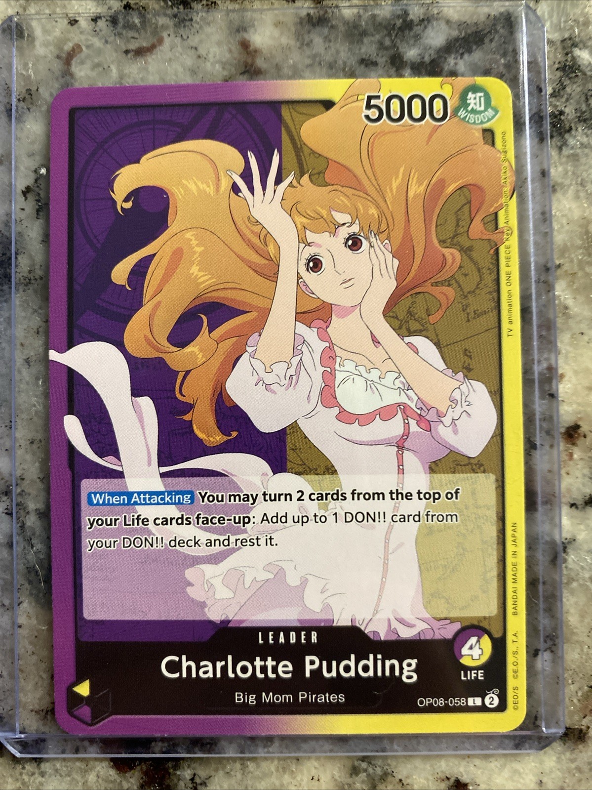 Charlotte Pudding (058) OP08-058 Two Legends Regular