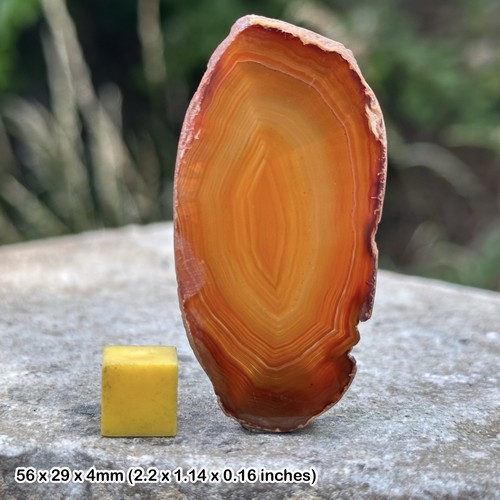 Agate slice crystal - authentic spiritual healing mineral stone certificated - 第 1/1 張圖片
