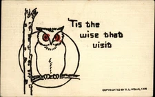 Wise Owl ~ RL Wells Publ ~ DPO Winthrop Sta ~ Delia Jelley Francestown NH