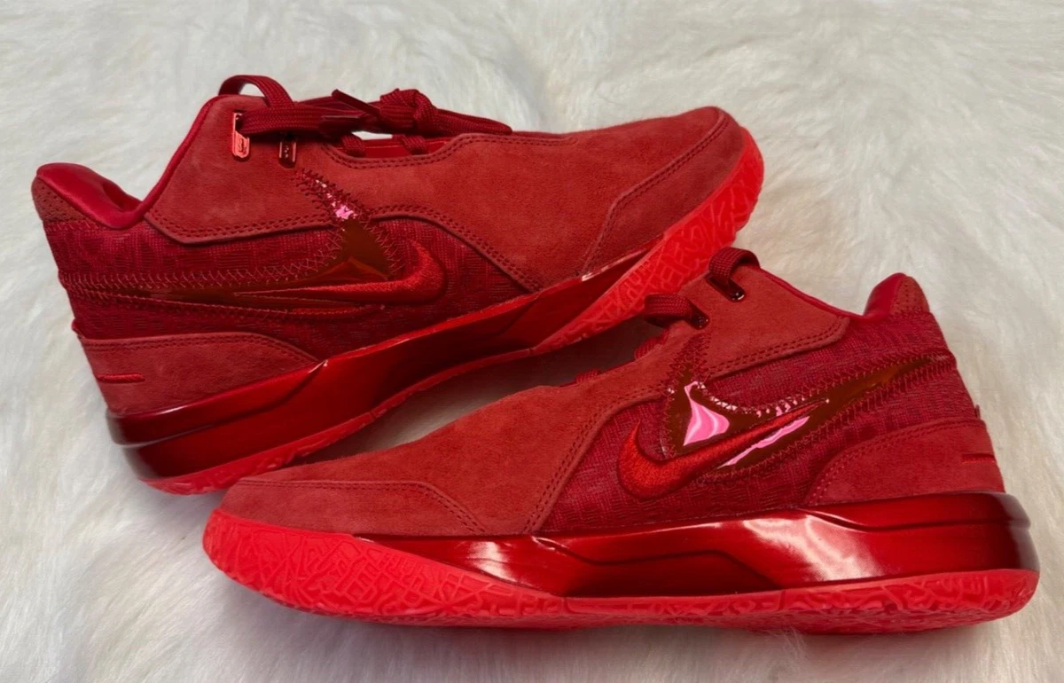 Nike Zoom LeBron NXXT Gen AMPD James Gang for Sale | Authenticity