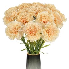 15PCS Carnations Artificial Flowers Champagne Silk Carnation 20.47" Long Stem...