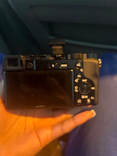 Sony Alpha a6100 24.2MP Mirrorless Camera - Black 