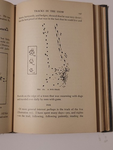 Lesen & Leben für die Mittelklasse Buch drei illustriert 1930 Hardcover - Bild 4 von 16