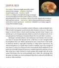 Bild 13 von 64