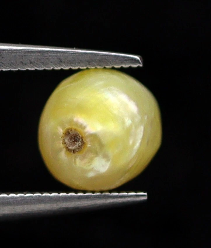 0.91 Ct Natural Basra Pearl 5 x 4 mm Round Mix Shape No Nucleus Loose Gemstone - Image 4 of 4