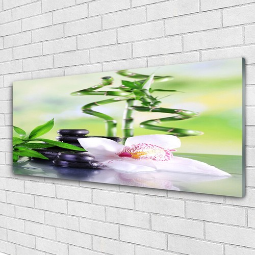 Tableau Déco Moderne Sur Plexiglas - Motif Bambou Et Herbes 125x50 Cm - Style Zen Et Nature