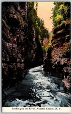Looking Up The River Ausable Chasm New York Landscape View ANTIQUE Postcard
