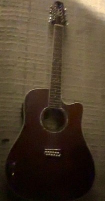 Takamine 12 String Acoustic-Electric Guitar Red
