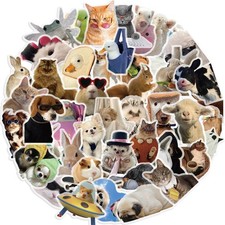 50Pieces Cat Dog Meme Stickers, Funny Animal Transparent PET Sticker Self-Adhesi