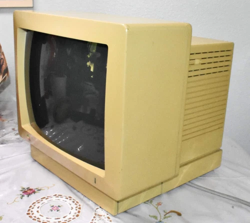 Vintage Apple A2M6020 13" Color CRT Composite Computer Monitor 1988