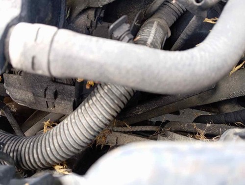 Klimakompressor für RENAULT LAGUNA (B56) 1.9 dCi RT 2000 244278