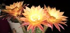 Bild 15 von 15