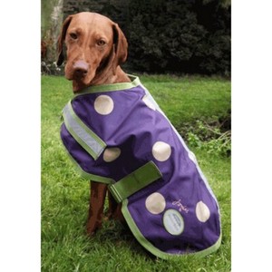 thin waterproof dog coat