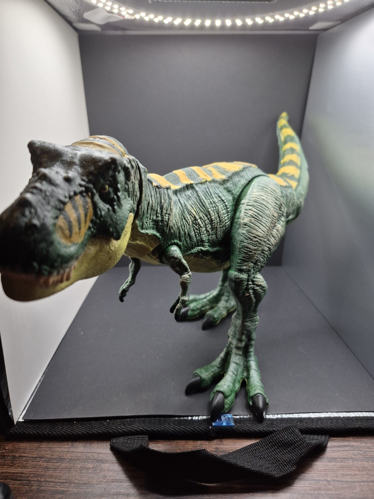 Jurassic World Legacy Collection Chompin Tyrannosaurus Rex Buck Custom Paint