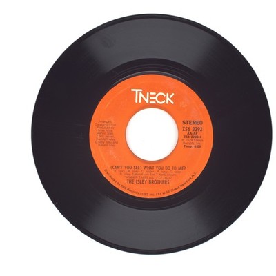 The Isley Brothers - (Can't You See) What You Do to Me?; Who Said? 45 (G)