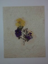 Pansy Patch 2 – Vintage Botanical Floral Art Print Bon Art 1999 10 x 8"