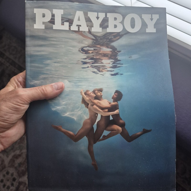 Playboy Magazine Summer 2019 Edition Has All Three Fold Outs Still Attached Rare