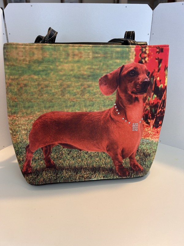 Dachshund Dog With Rhinestone Collar Purse
