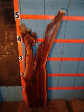 A1977 1 1/2" THICK black walnut Slab lumber shelf epoxy table KILN DRIED