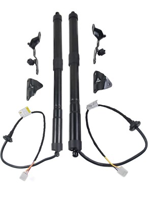  RAV-4 Tailgate Power Lift Support- Pair- New