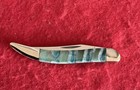 Case Custom Tiny Toothpick Knife Blue Fossil Scales 👀 — photo 1