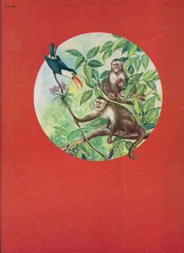 Wild animals by anna ratzesberger art by j.l. vlasaty rand mcnally 1956 oversize - Picture 8 of 10