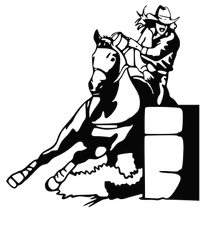 Rodeo Girl Barrel Racing Vinyl Decal Your Color Choice Sticker