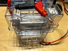 New Invitrogen  Novex  XCell  Cell  Invitrogen   surelock  vertical gel mini