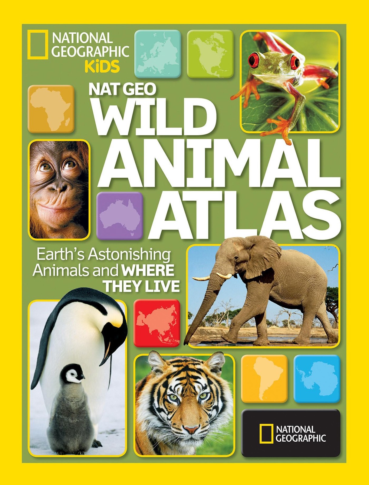 Wild Animal Atlas: Earth's Astonishing Animals and Where They Live (Atlas) by N - Image 6