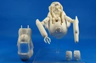 Resin Kit 884 1/20 MA.K FUJIYAMA ARTS BROTHERS P.K.A.KANGAROO (Transformed part)