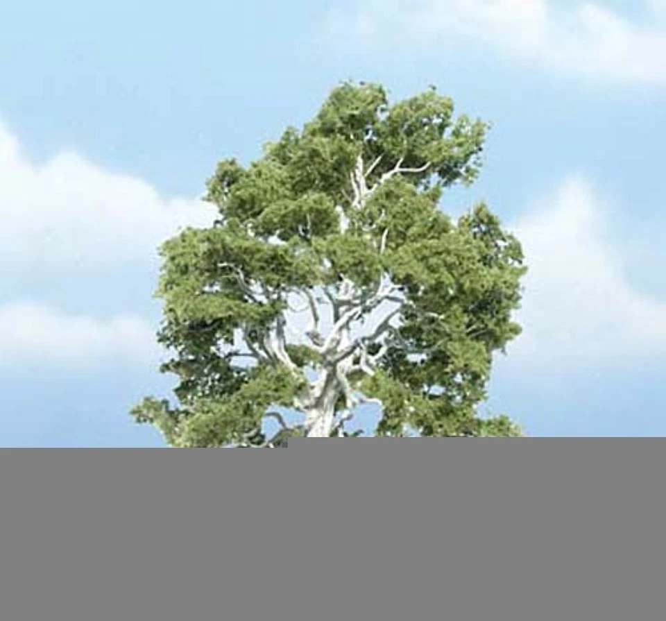 TR1609 Woodland Scenics 3 7/8 Premium Sycamore 1/Pk