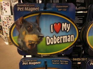I Love My Doberman 6 inch oval magnet for car or anything metal  New