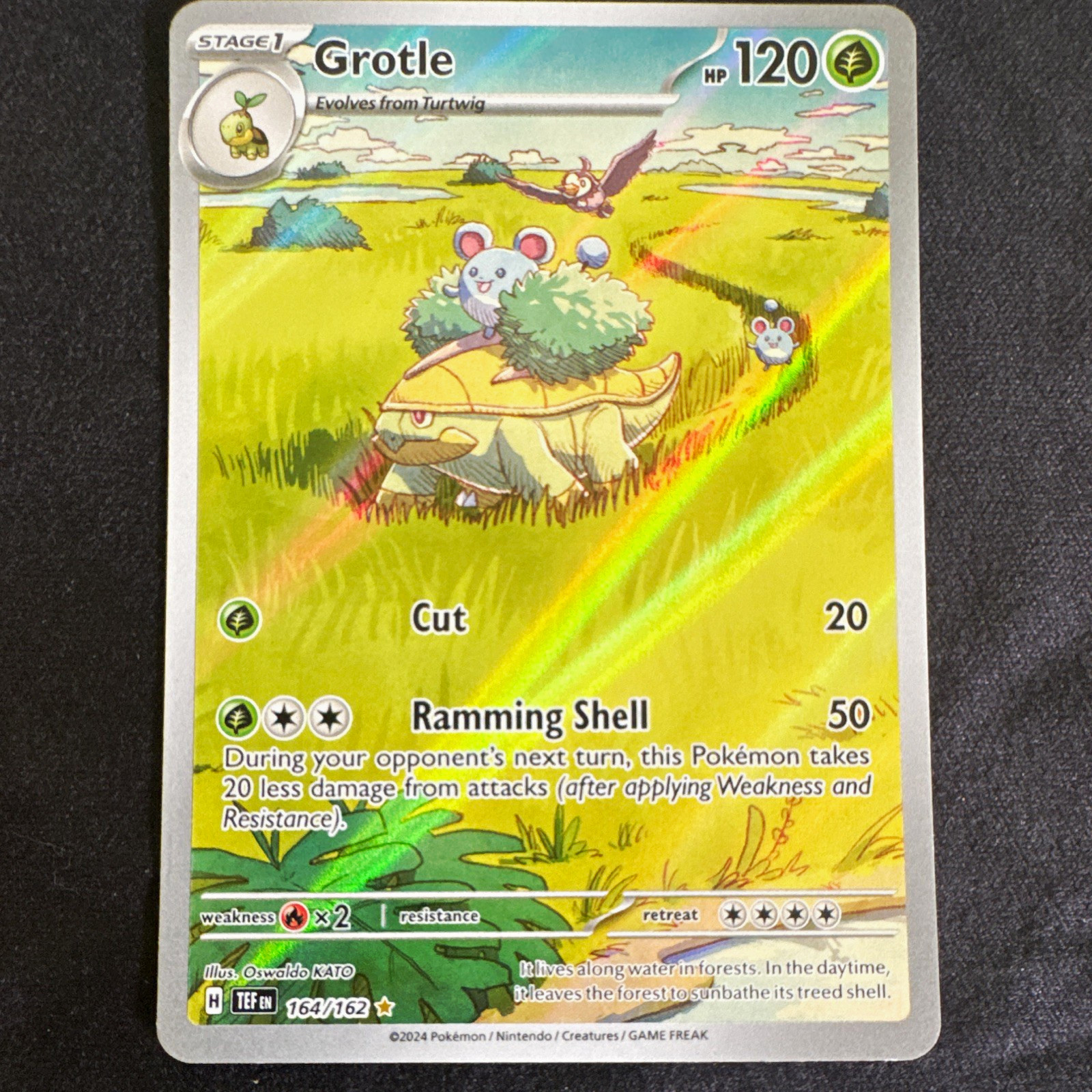 Pokemon TCG Grotle SV05 Temporal Forces 164/162 Illustration Rare Holo English