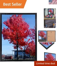 High-Gloss Black 8.5x11 Document Frame - Perfect for Graduations & Photos