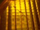 Bild 22 von 24