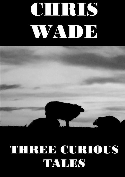 Three Curious Tales Chris Wade Taschenbuch Kartoniert / Broschiert Englisch 2020-image