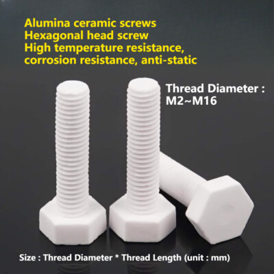M8 M10 M12 M14 M16 Alumina ceramic screws Hexagonal head screw bolts Thread nail