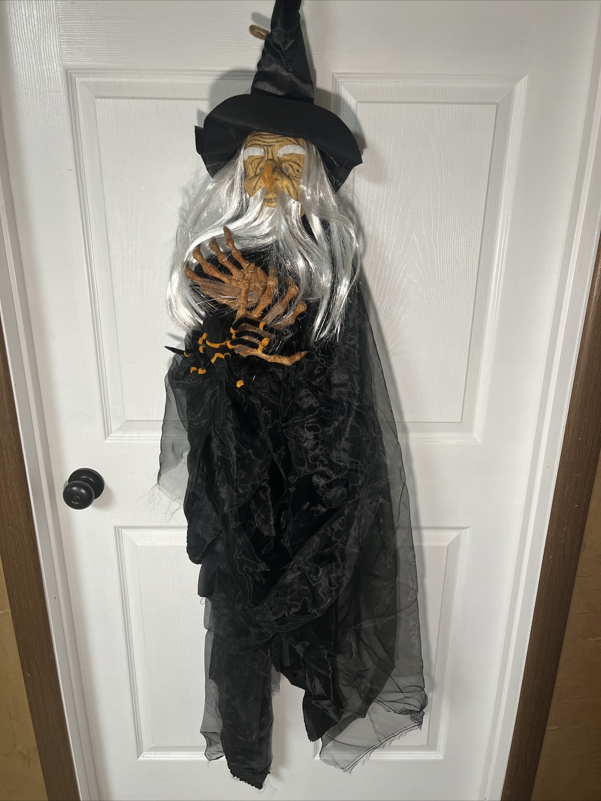 Halloween Decoration Hanging Wizard Greeter 60" Fiber Optic Party Prop